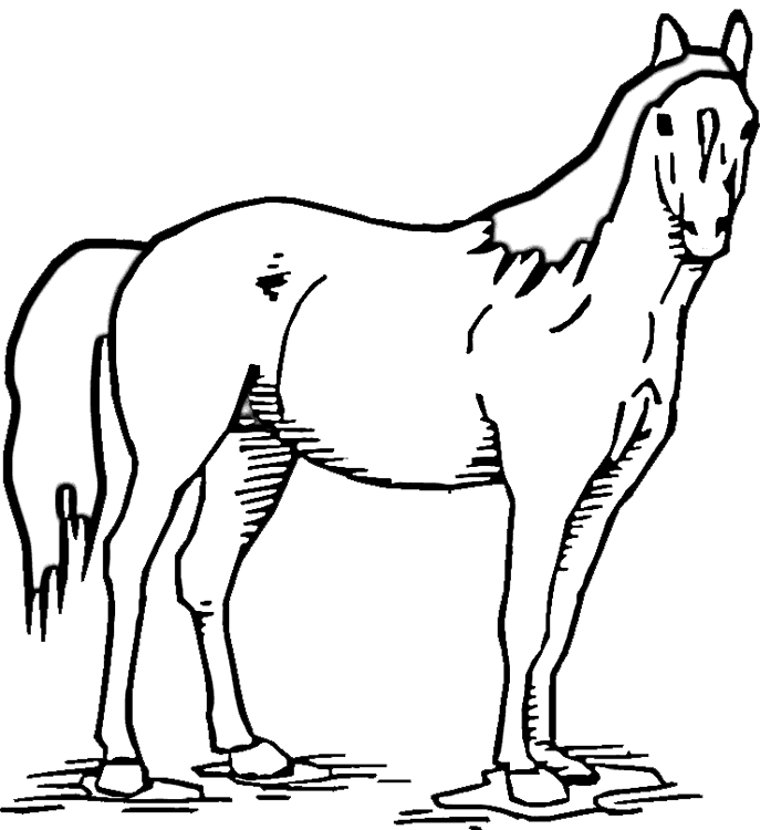 galloping horse coloring pages - photo #44