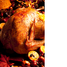 roast turkey