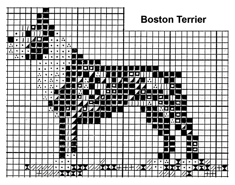 Boston Terrier Pattern