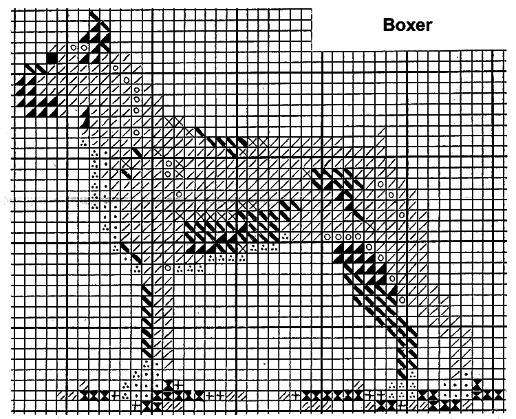 Boxer Pattern