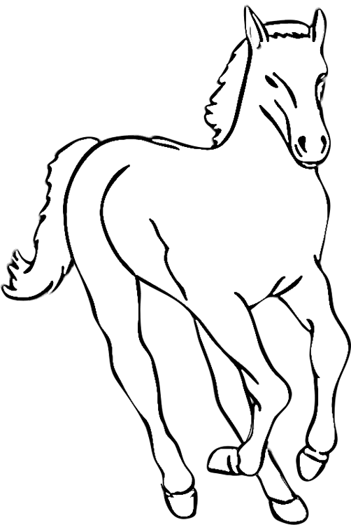 Galloping Foal Coloring Page | Purple Kitty