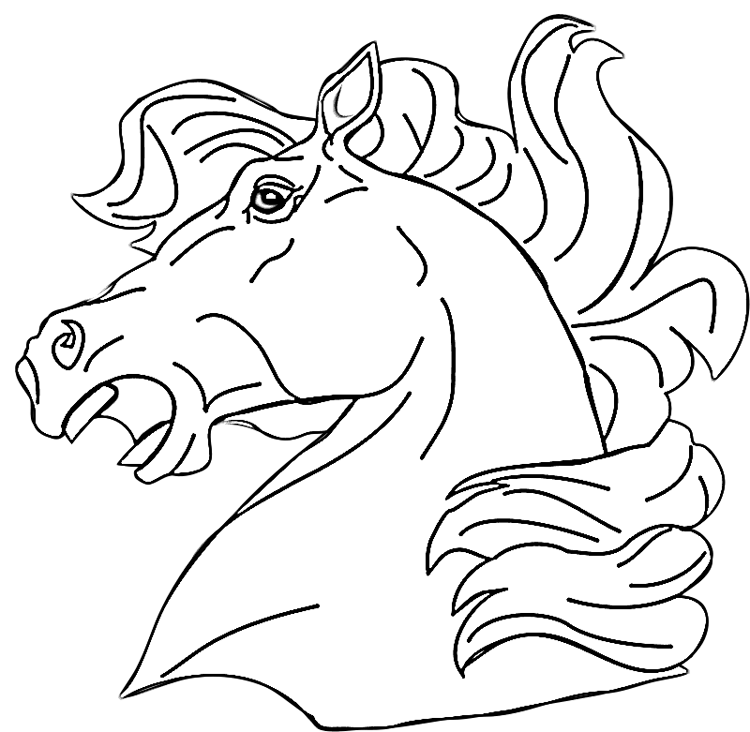 neighing horse head coloring page  purple kitty