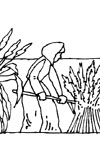 pilgrim girl in field coloring page