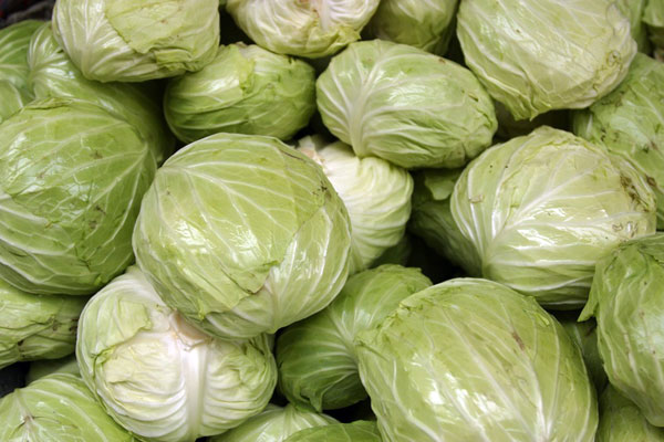 Cabbage – The Vegetable That Surpasses All Vegetables | Purple Kitty