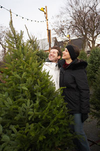 christmas tree safety