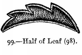 Half of Leaf (98).